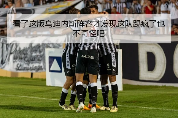 看了这版乌迪内斯阵容才发现这队踢疯了也不奇怪吧 | leyu