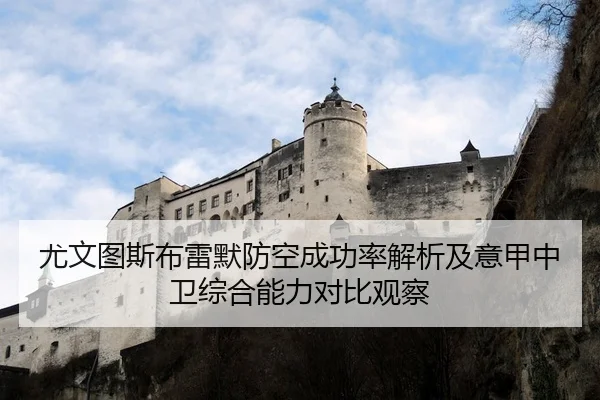 尤文图斯布雷默防空成功率解析及意甲中卫综合能力对比观察 | leyu